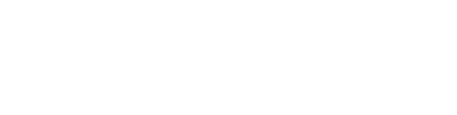 Leisure9 ®